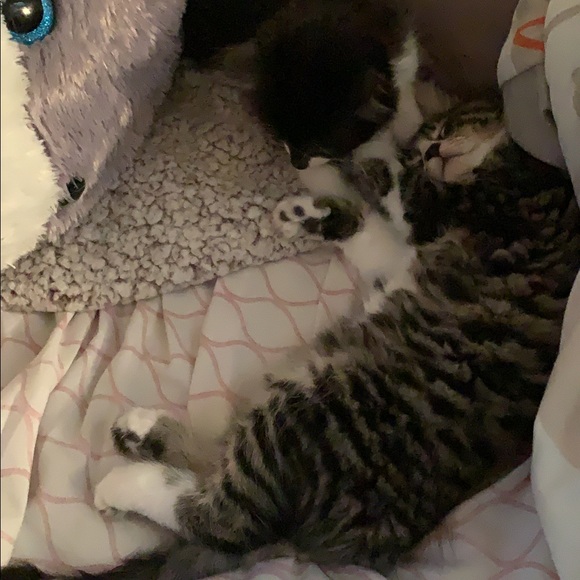 Meet your Posher, Krystal - Picture 2 of 7